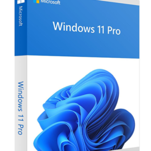 Windows 11 Pro